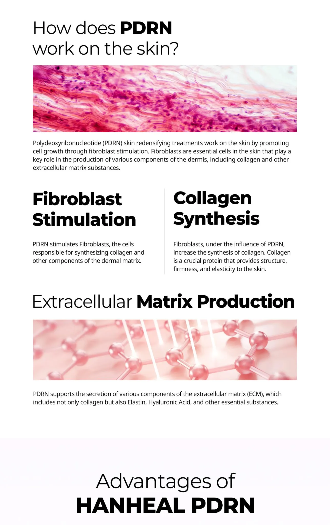 Hanheal PDRN Booster