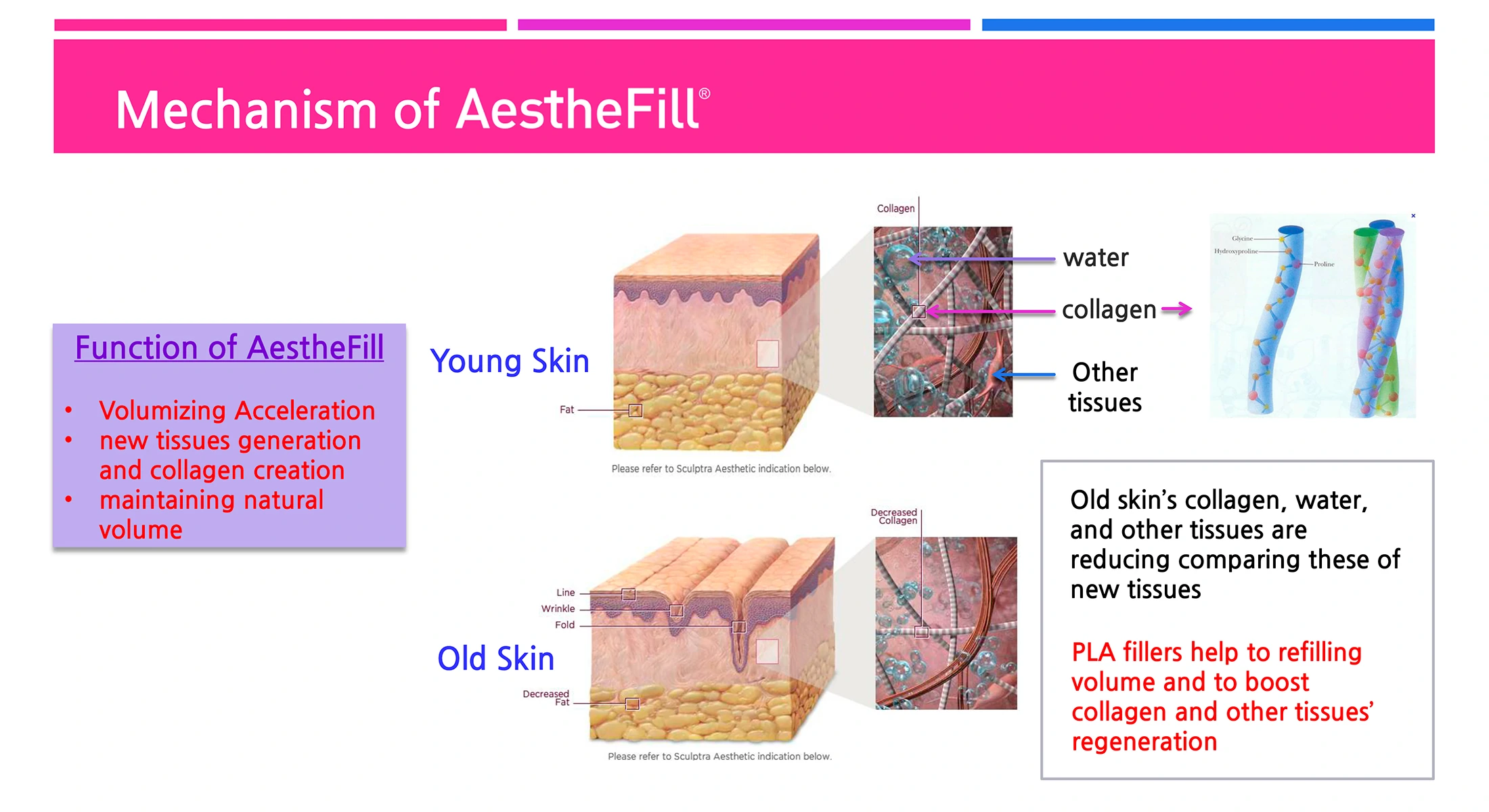 AestheFill