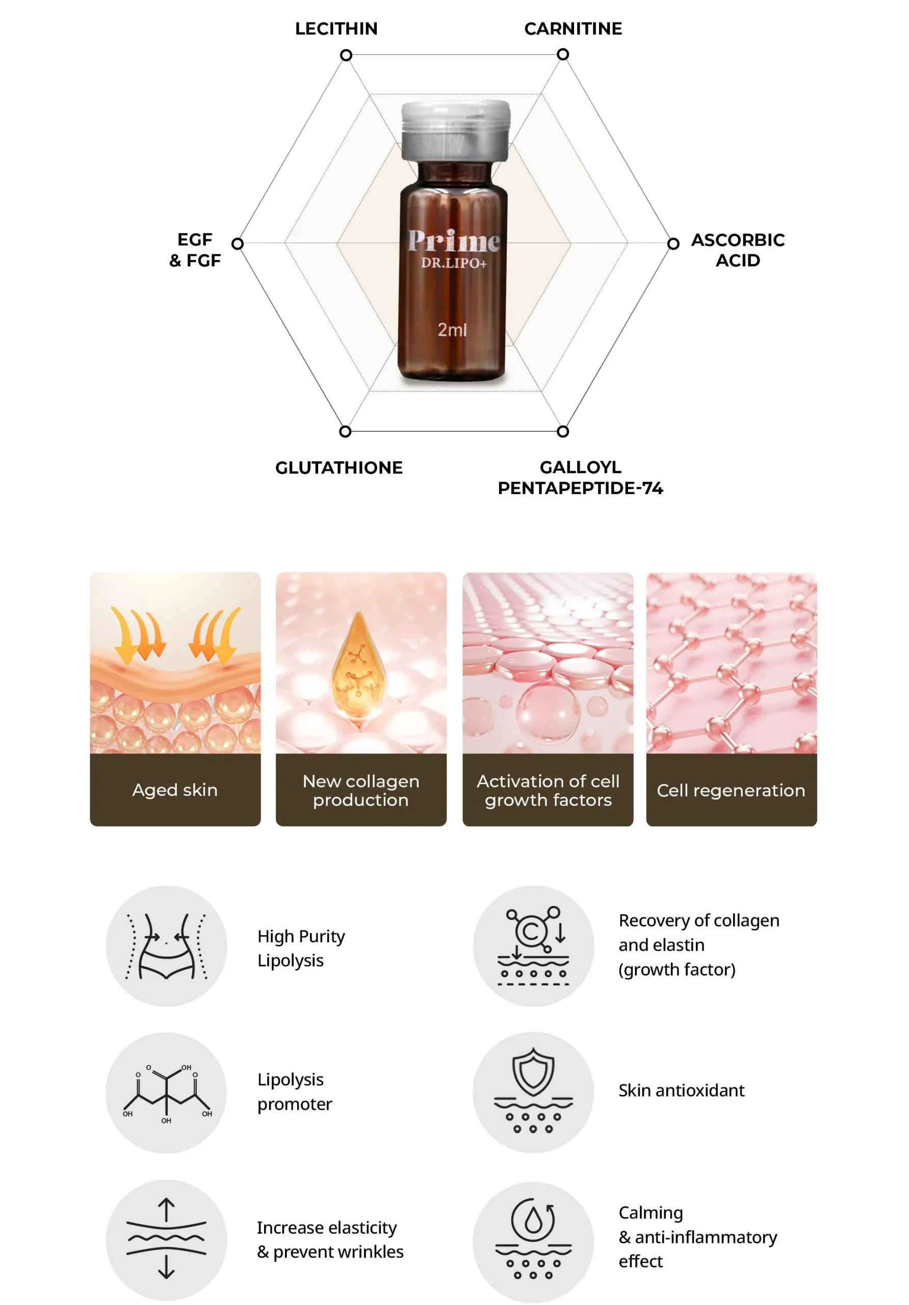 Prime DR. LIPO+