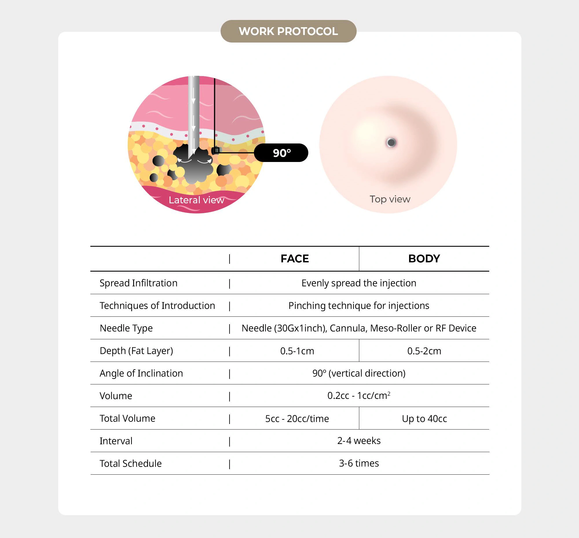 Prime DR. LIPO+